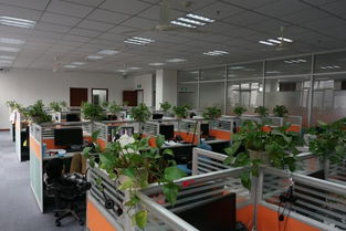 看準網 技術驅動下的網絡科技開發與運營